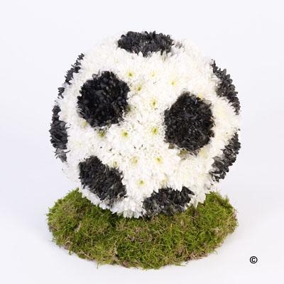 Football Tribute *