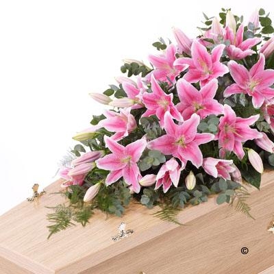 Lily Casket Spray Pink*