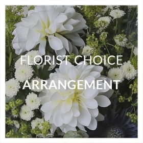 Florists Choice Arrangement